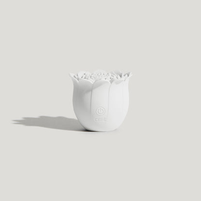 Diviner Chrysanthemum  Vibrator
